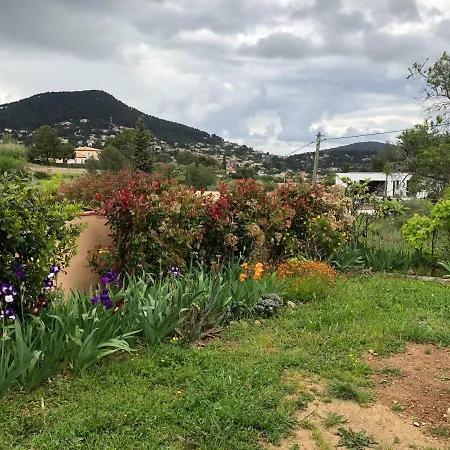 Bas De Au Calme Avec 2 Suites Independantes Holiday home Carqueiranne